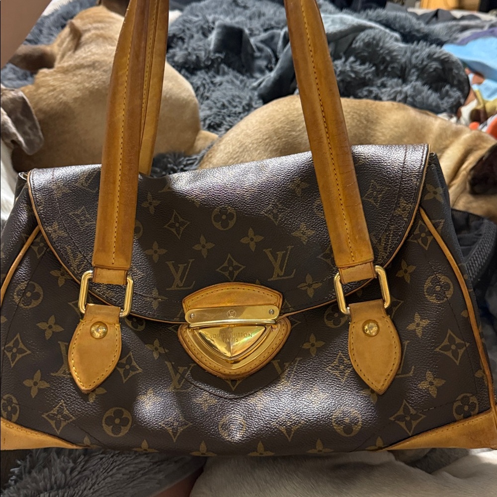 Louis Vuitton Classic Brown Satchel - Picture 11 of 17